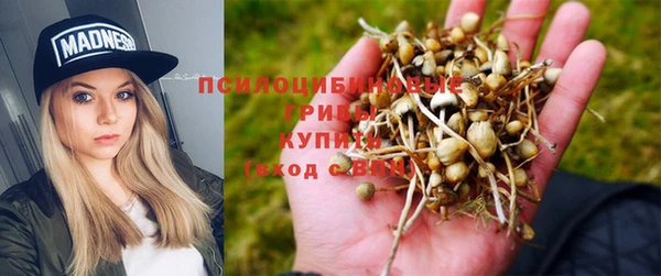 ешки Алексин