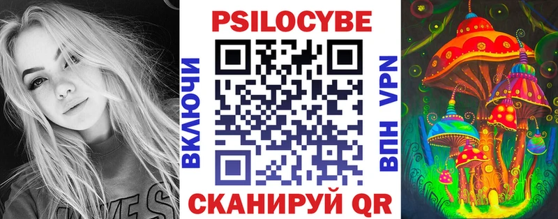 закладки  Шелехов  Галлюциногенные грибы прущие грибы 