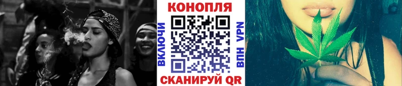 Бошки Шишки планчик  где можно купить   Шелехов 